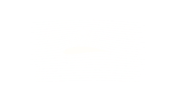 Airfoil Flow preview