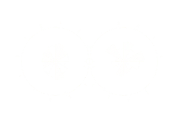 Day Orbit preview