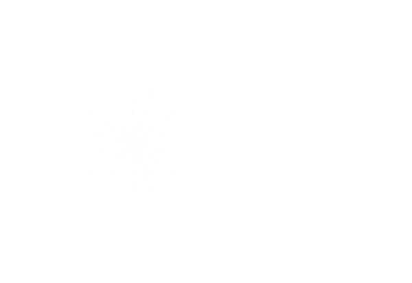 Dot Network preview