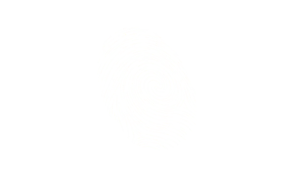 Fingerprint Flow preview