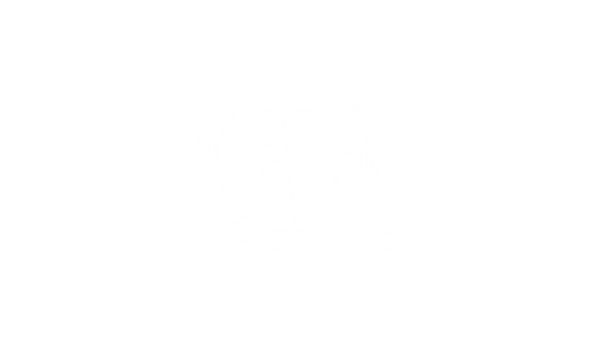 Search Lens preview